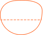 Executive Bifocal lens