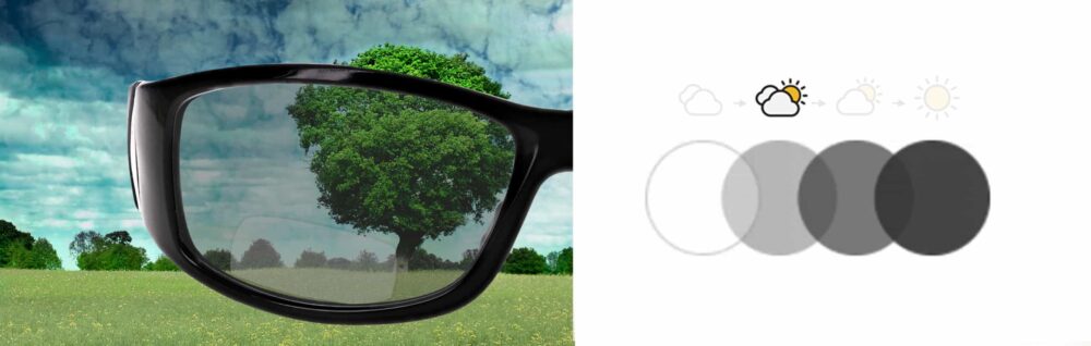 Photochromic Bifocal Safety Glasses in Black Frame with Transition Lenses, PSG-TGB-808BK