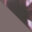 spy-sonny-brushed_gunmetal_metal_purple_camo_tort-swatch