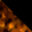 spy-zade-dark_tort_matte_black-swatch