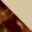 revo-cove-Tortoise-Champagne-swatch