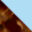 revo-vista-XL-Matte-Tortoise-Blue-Water-swatch