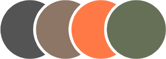 Lens Color Icon
