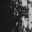 Black-with-White-Splat-swatch